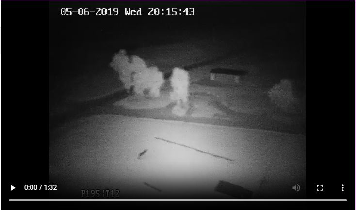 Thermal Night Vision Farm Tracking Footage
